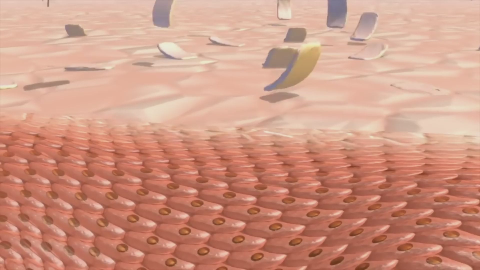 Charger la vidéo : 